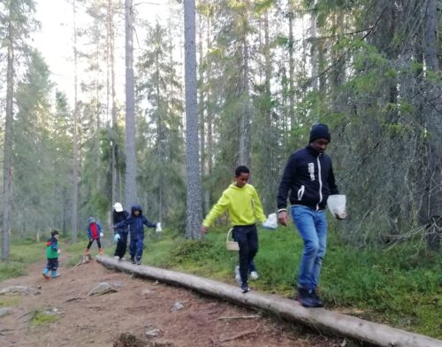 Mushrooming in the nature of Oulu